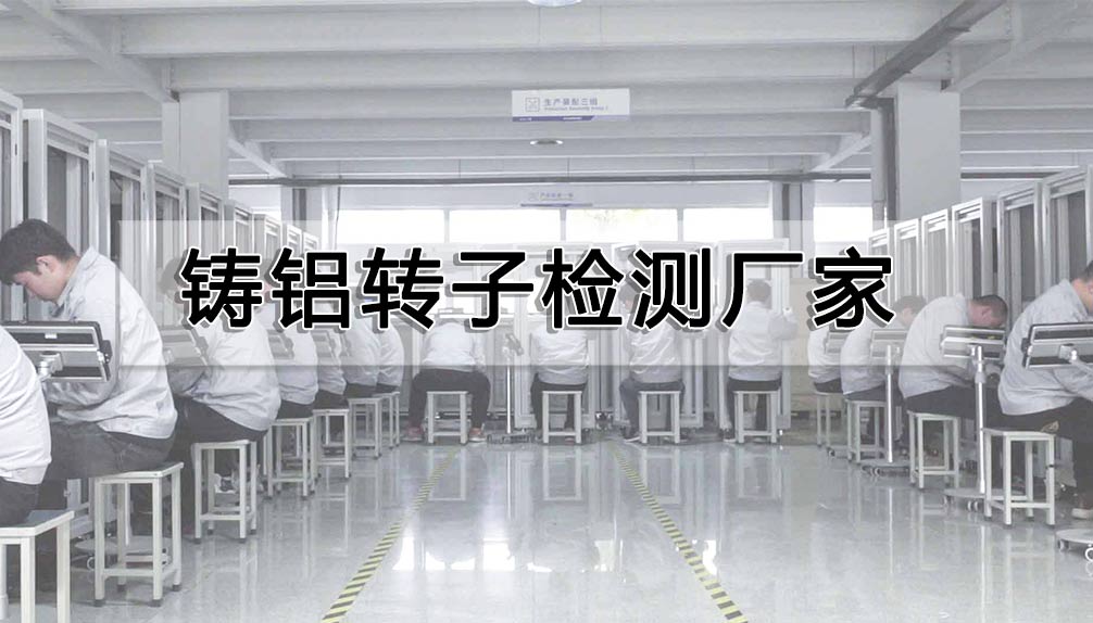 铸铝转子检测厂家